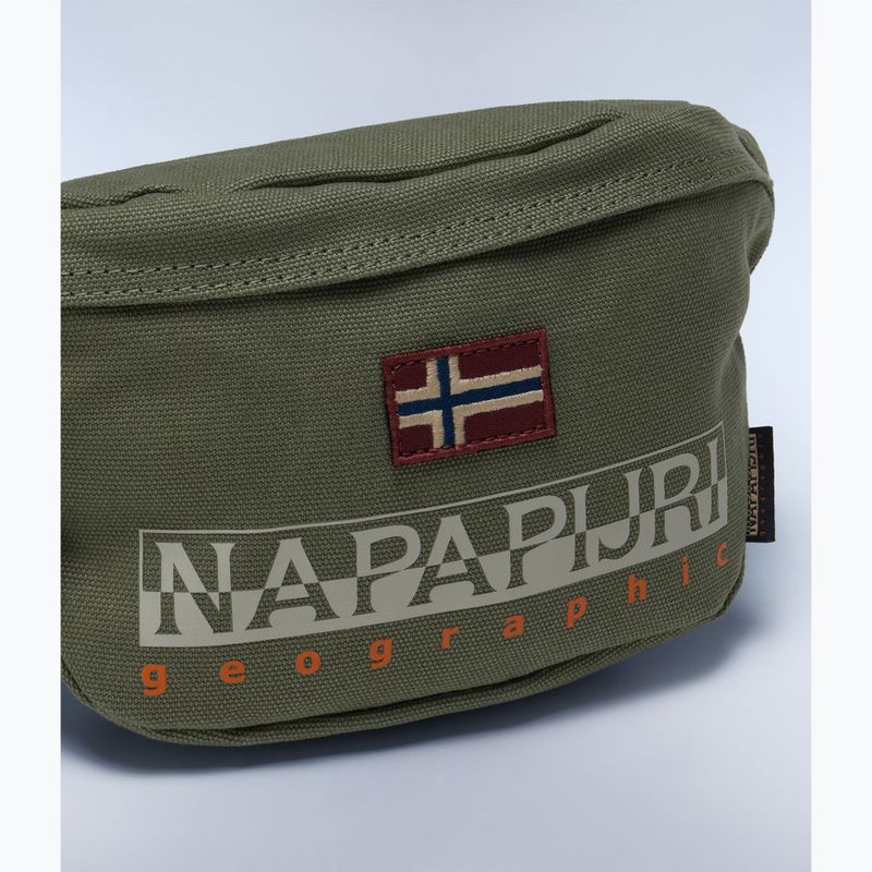 Ledvinka Napapijri Hering Wb 3 green lichen 4