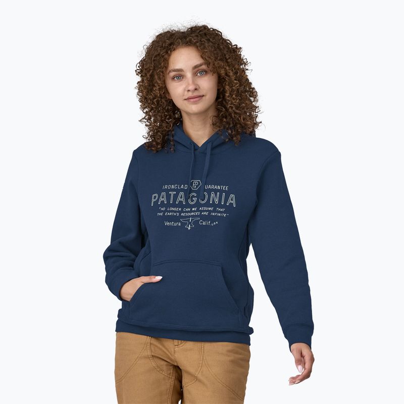 Pánská mikina  Patagonia Forge Mark Uprisal Hoody lagom blue 3