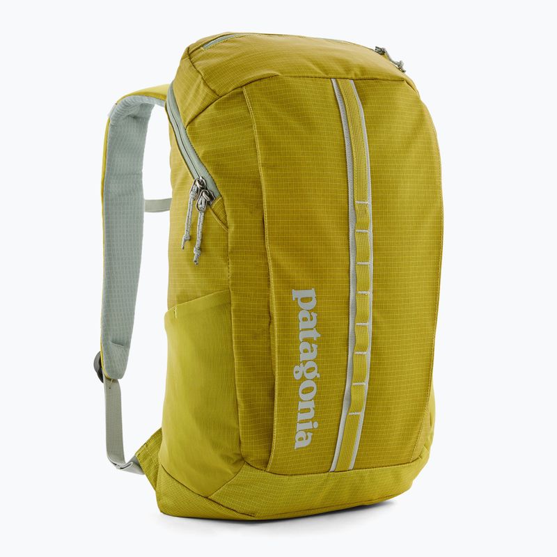 Turistický batoh  Patagonia Black Hole Pack 25 l shrub green 2