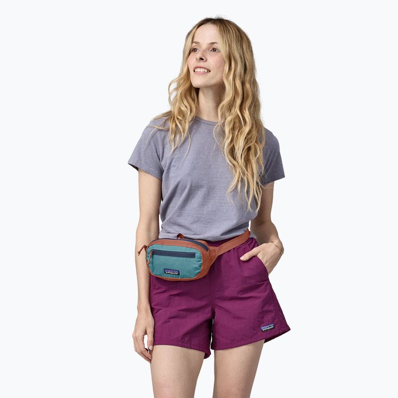 Kapsička ledvinka Patagonia Ultralight Black Hole Mini Hip Pack 1 l burl red 4