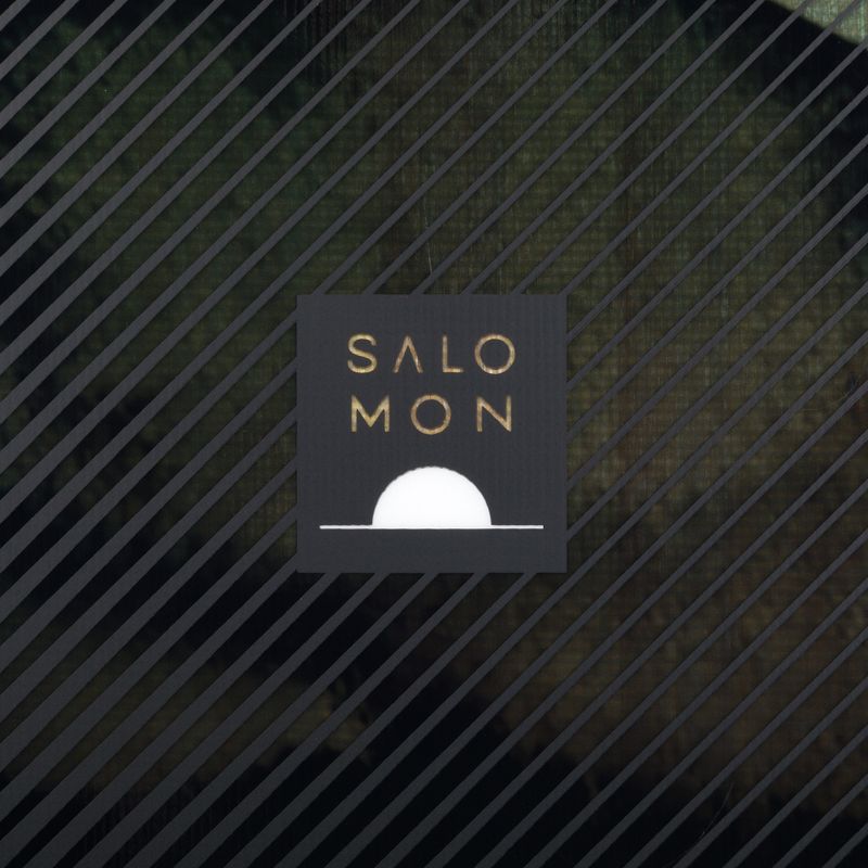 Pánský snowboard Salomon Pulse black L47031600 5