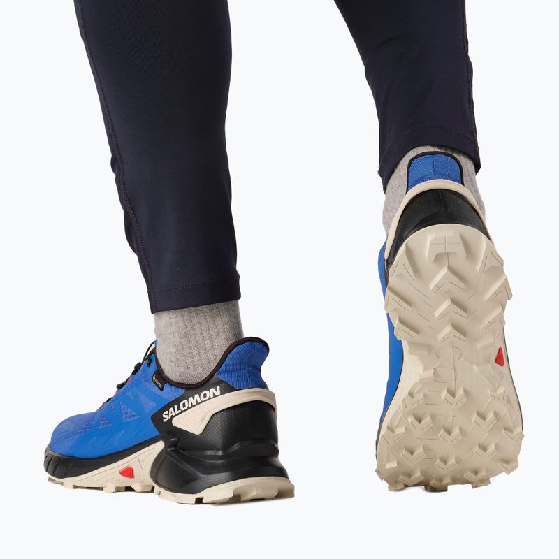 Pánská běžecká obuv Salomon Supercross 4 GTX blue L41732000 4