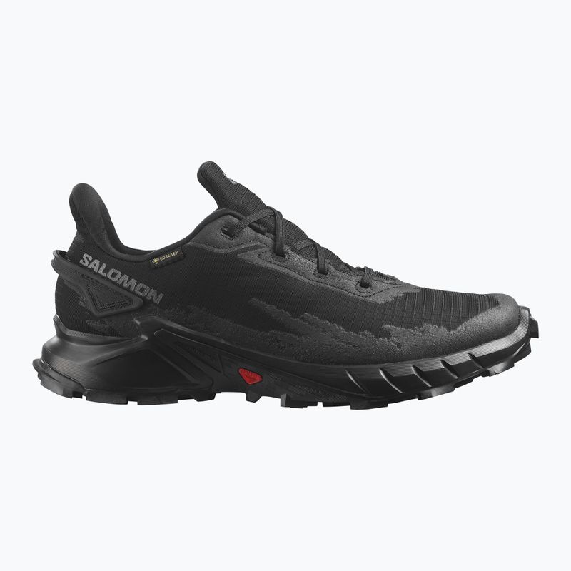 Pánská trailová obuv Salomon Alphacross 4 GTX L47064000 12
