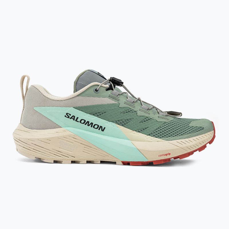 Dámské běžecké boty Salomon Sense Ride 5 Lily Pad/Rainy Day/Bleached Aqua L47212300 2
