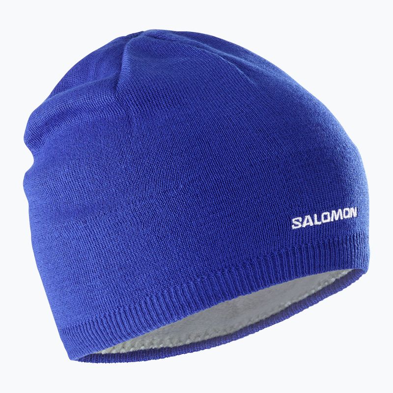 Zimní čepice Salomon Beanie surf the web