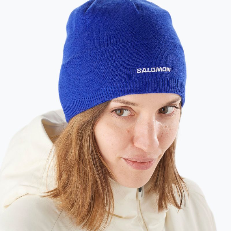 Zimní čepice Salomon Beanie surf the web 2