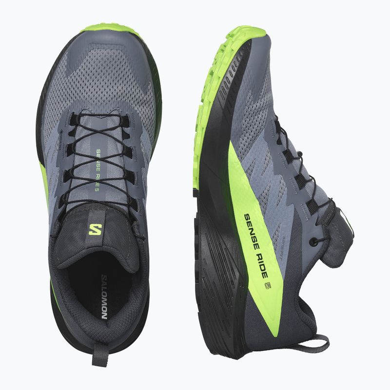 Pánské běžecké boty  Salomon Sense Ride 5 GTX flint stone/black/green gecko 10