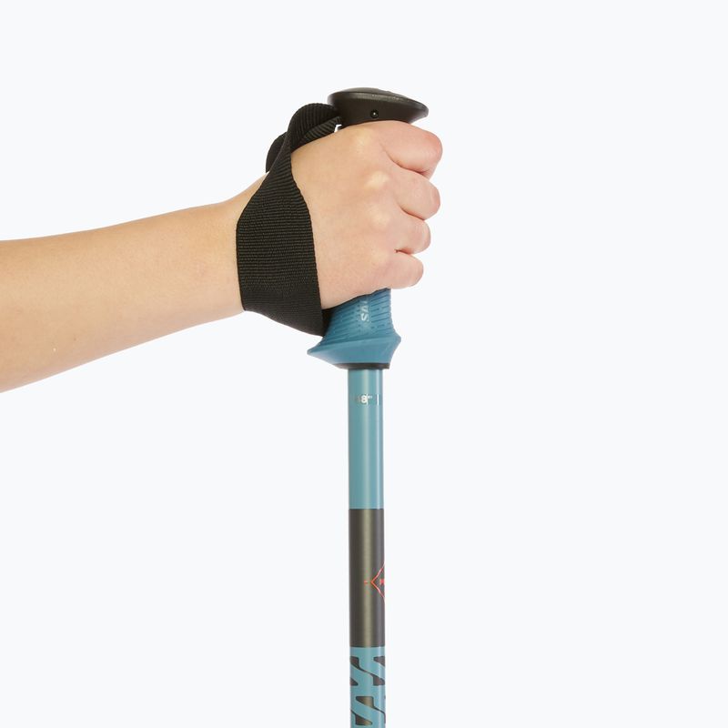 Lyžařské hole Salomon Polar Pro copen blue 6