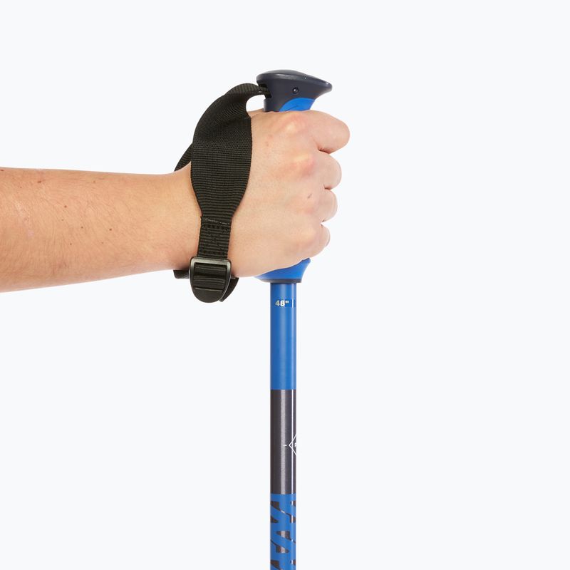 Lyžařské hole Salomon Polar Pro race blue 7