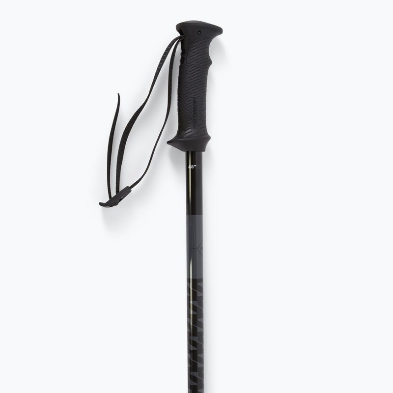 Lyžařské hole Salomon Polar Access black 4
