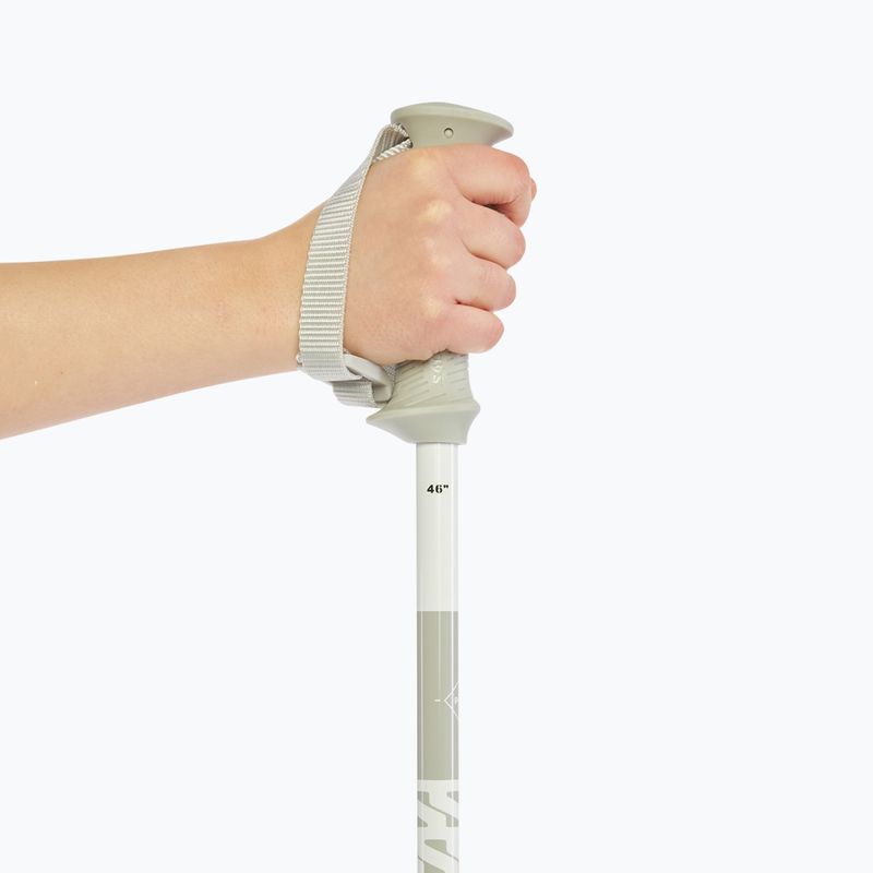 Lyžařské hole Salomon Polar Access white 6