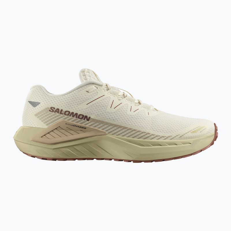 Pánské běžecké boty Salomon Thundercross asphalt/sharkskin/spray 8