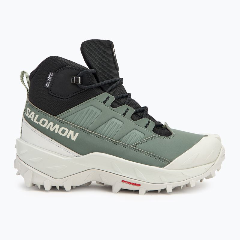 Dámské trekové boty Salomon Crosstrak WP agave green/black/can ary green 2