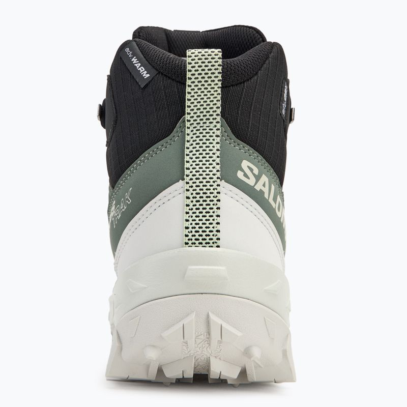 Dámské trekové boty Salomon Crosstrak WP agave green/black/can ary green 6