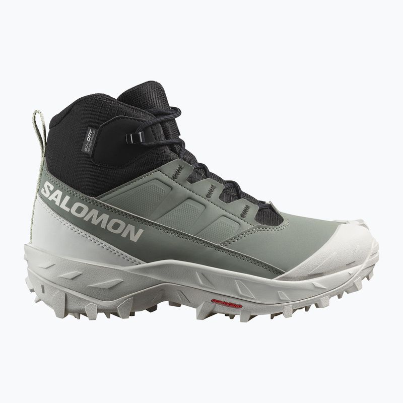 Dámské trekové boty Salomon Crosstrak WP agave green/black/can ary green 9