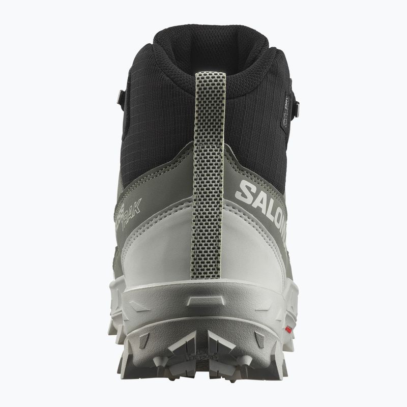 Dámské trekové boty Salomon Crosstrak WP agave green/black/can ary green 11