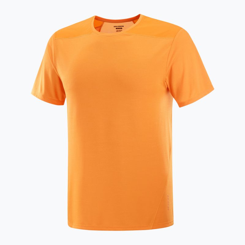 Pánské tričko Salomon Outline Tee turmeric 4