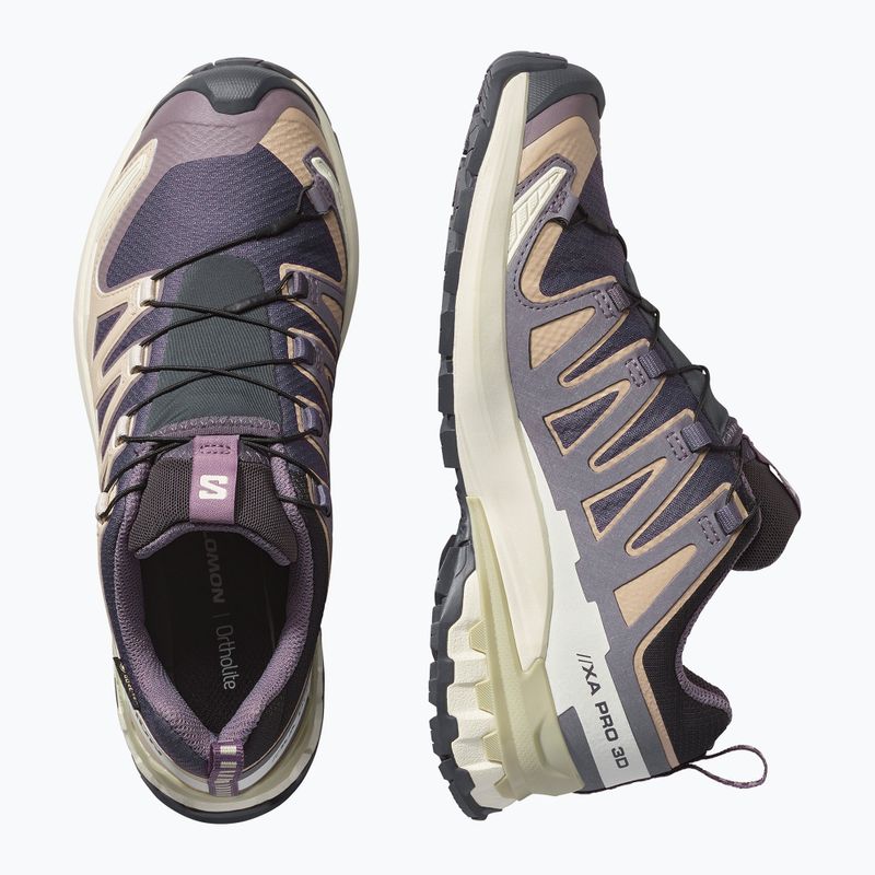 Dámské běžecké boty Salomon XA Pro 3D V9 GTX nine iron/oxford tan 3