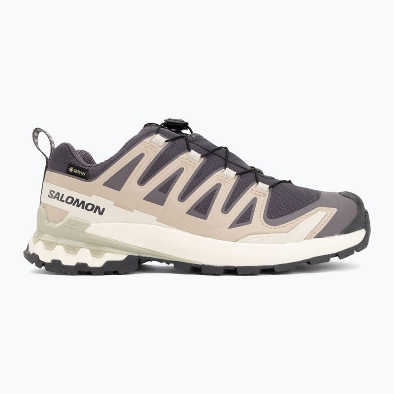 Dámské běžecké boty Salomon XA Pro 3D V9 GTX nine iron/oxford tan 2
