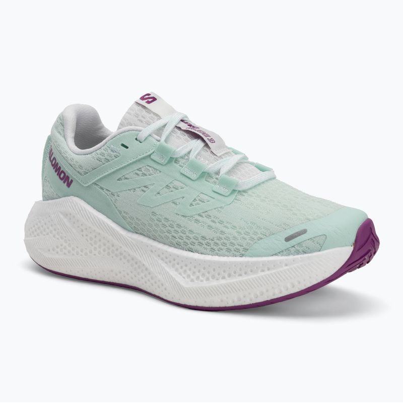 Dámské běžecké boty Salomon Aero Glide 3 bay/white/wilowherb
