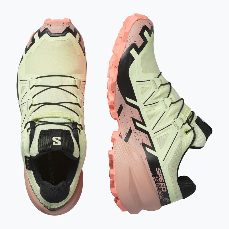 Dámské běžecké boty Salomon Speedcross 6 GTX lime cream/mahogany rose/black 6