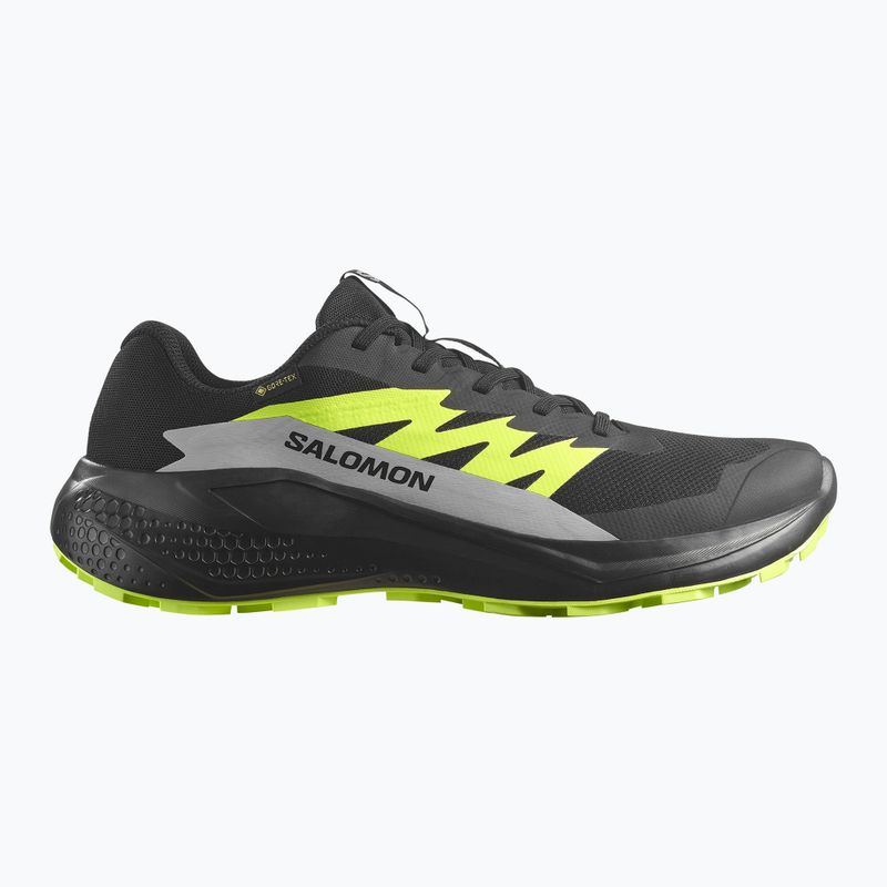 Pánské běžecké boty Salomon Alphaglide GTX black/alloy/sharp green