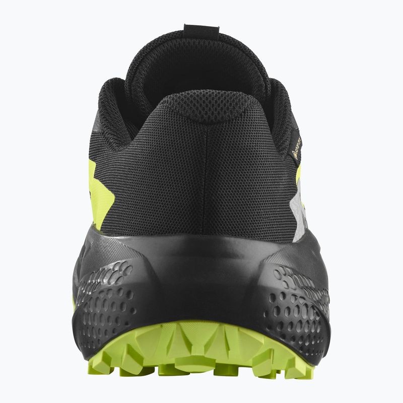 Pánské běžecké boty Salomon Alphaglide GTX black/alloy/sharp green 3