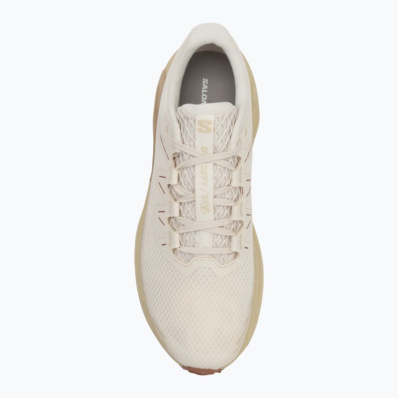 Pánské běžecké boty Salomon Drx Defy GRVL vanilla ice/green haze/white pepper 5