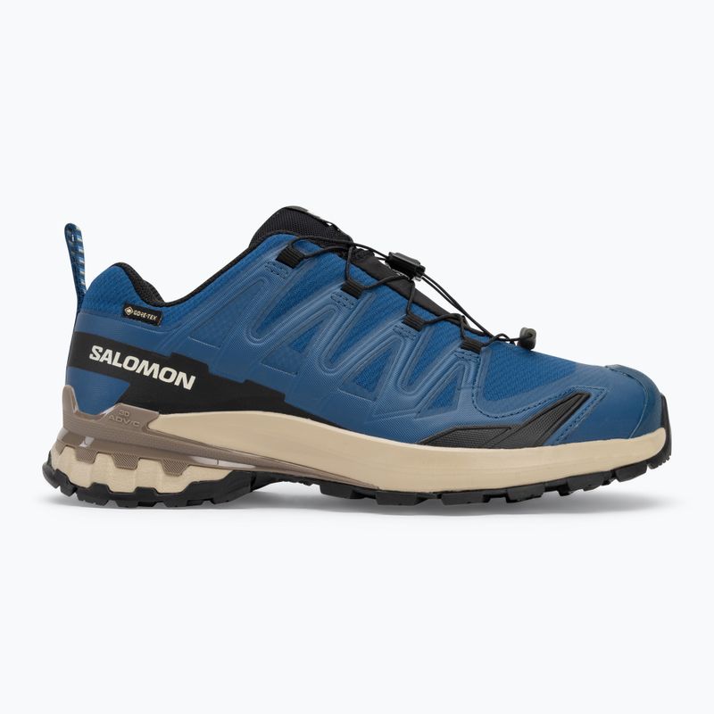 Pánské běžecké boty Salomon XA PRO 3D V9 GTX poseidon/white pepper/falcon 2
