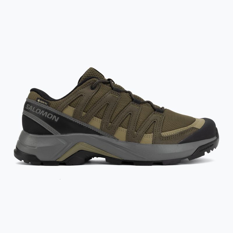 Pánské trekové boty Salomon X-Adventure Recon Waterproof olvnig/martini 2