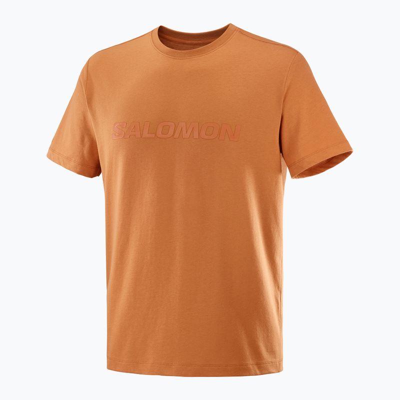 Pánské tričko Salomon Big Logo Tee sierra 4