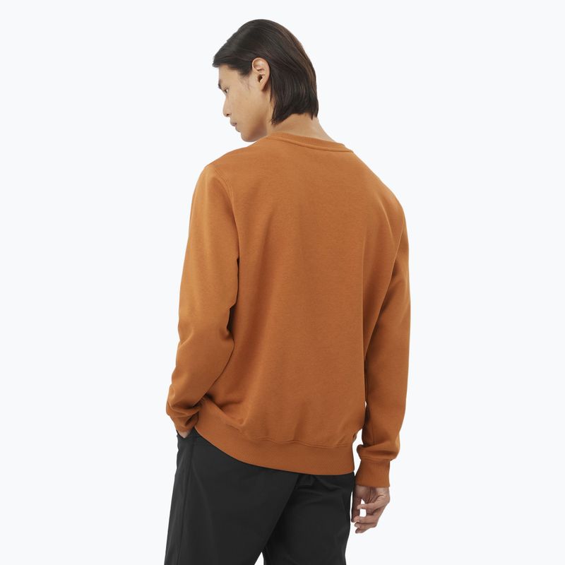 Pánská mikina Salomon Logo Crewneck sierra 2