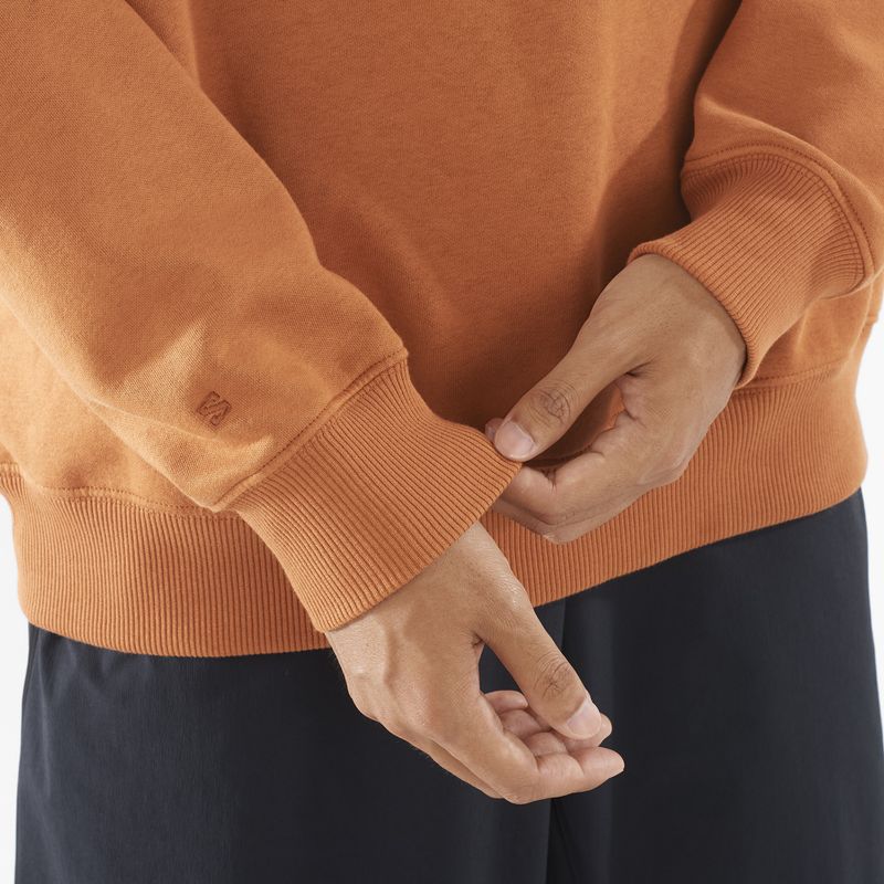 Pánská mikina Salomon Logo Crewneck sierra 4