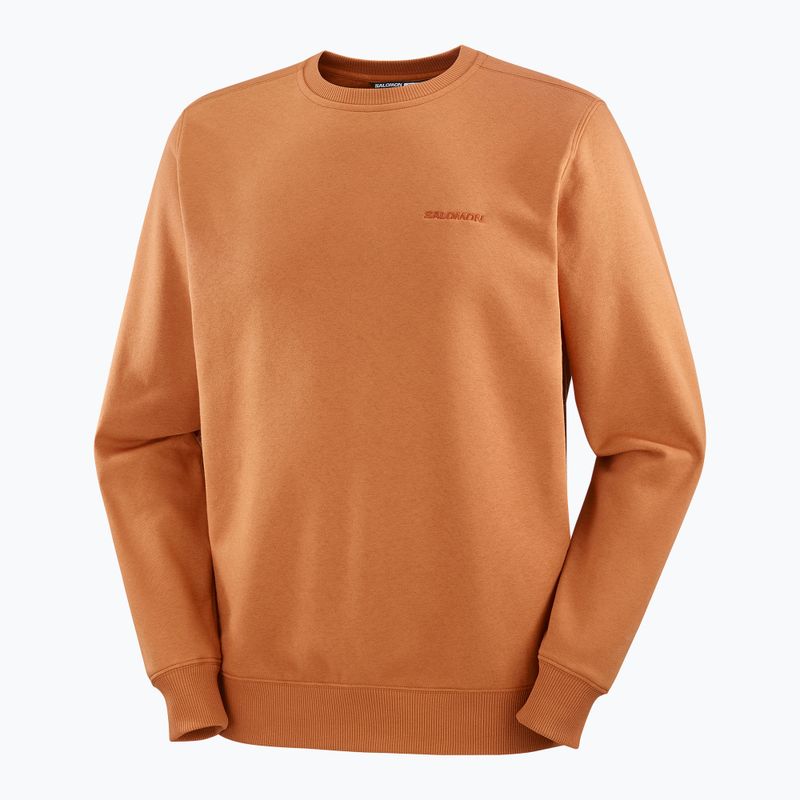 Pánská mikina Salomon Logo Crewneck sierra 5