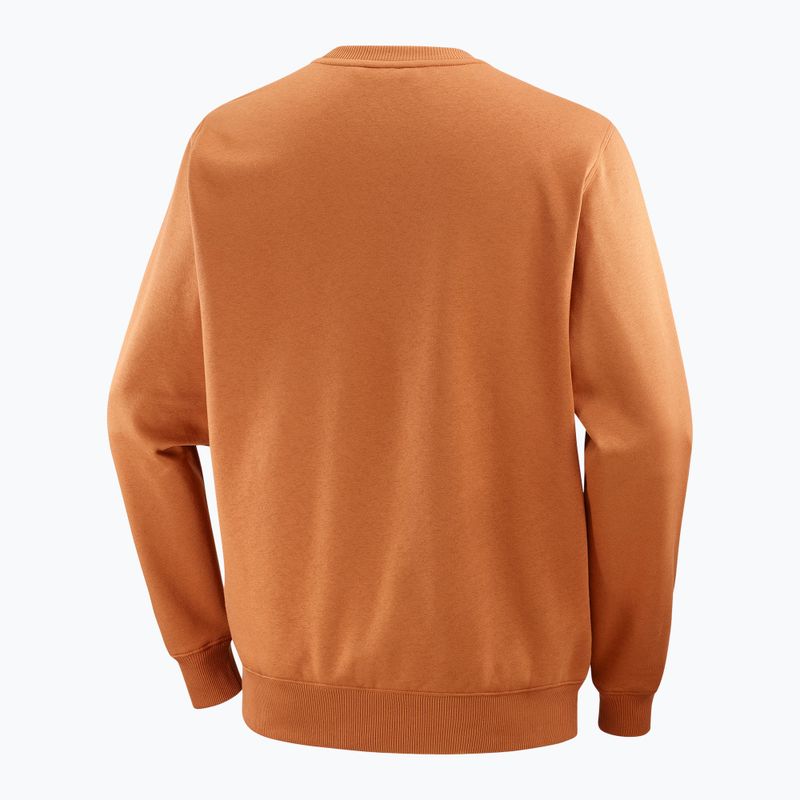 Pánská mikina Salomon Logo Crewneck sierra 6