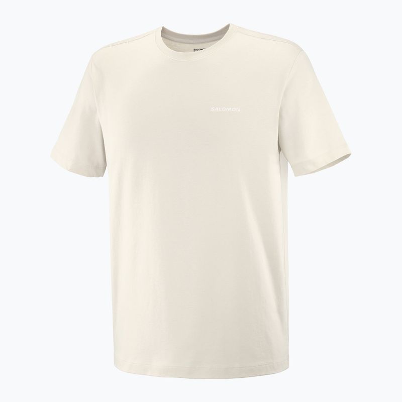 Pánské tričko Salomon Logo Tee rainy day 4