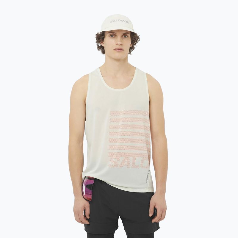 Pánské běžecké tílko Salomon Sense Aero Singlet GFX icicle