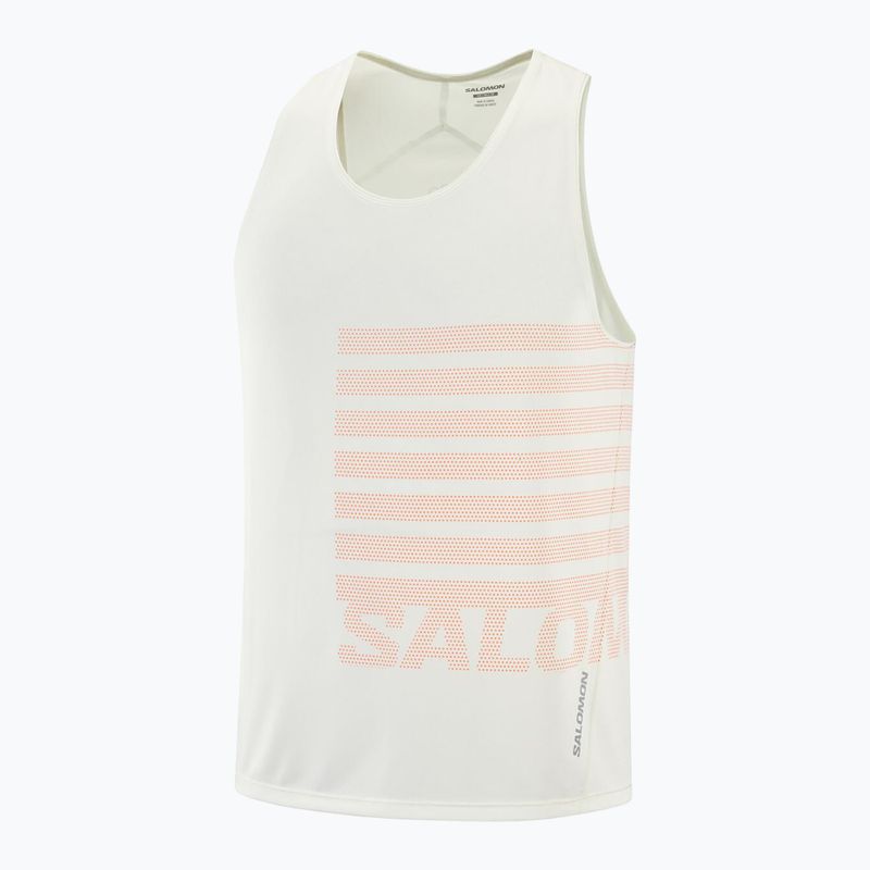 Pánské běžecké tílko Salomon Sense Aero Singlet GFX icicle 5