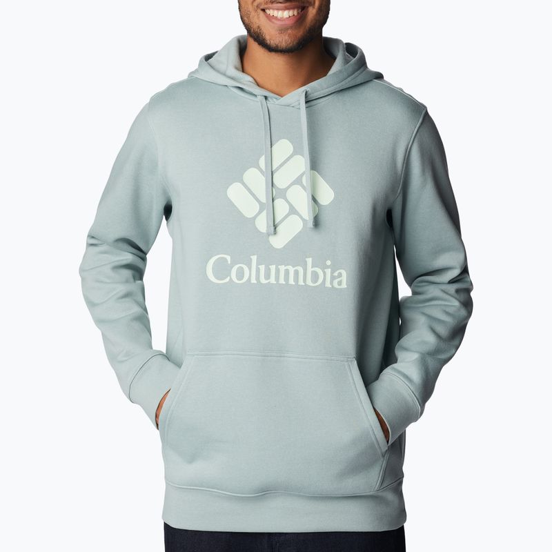 Pánská trekingová mikina Columbia Trek Hoodie šedá 1957913