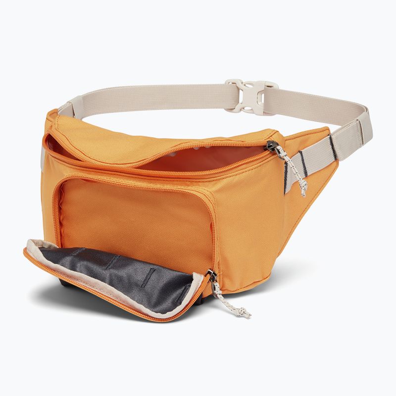 Ledvinka  Columbia Zigzag II Hip Pack 1 l sunstone/ shark 3