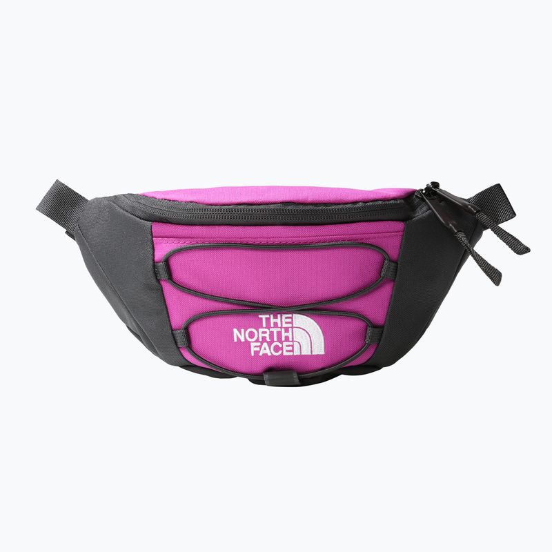 Ledvinka The North Face Jester Lumbar fialová  NF0A52TMYV41 7