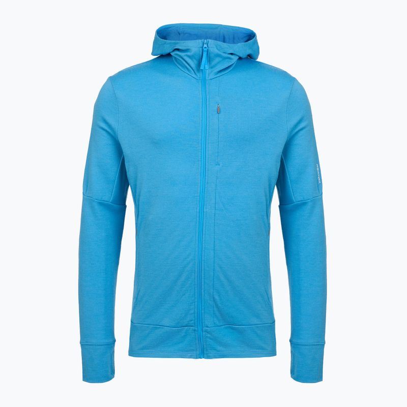 Pánská trekingová mikina Icebreaker Merino 260 Quantum IV Zip Hoodie arctic 10