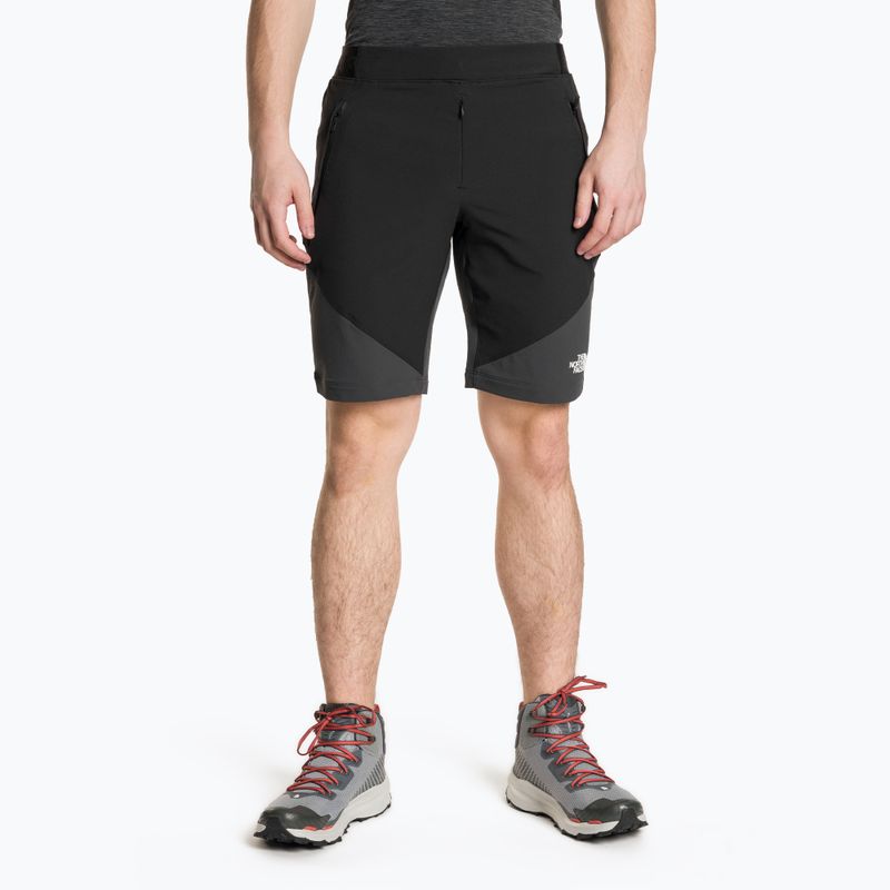 Pánské trekové šortky The North Face Circadian Alpine black NF0A5IMPJK31