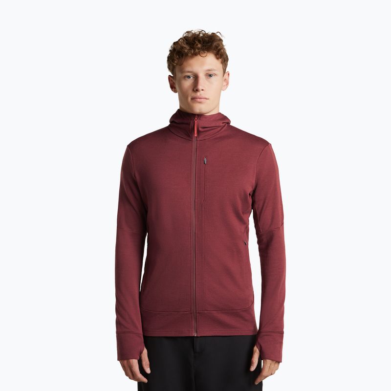 Pánská mikina Icebreaker Merino 260 Quantum IV LS Zip Hoodie port/agate