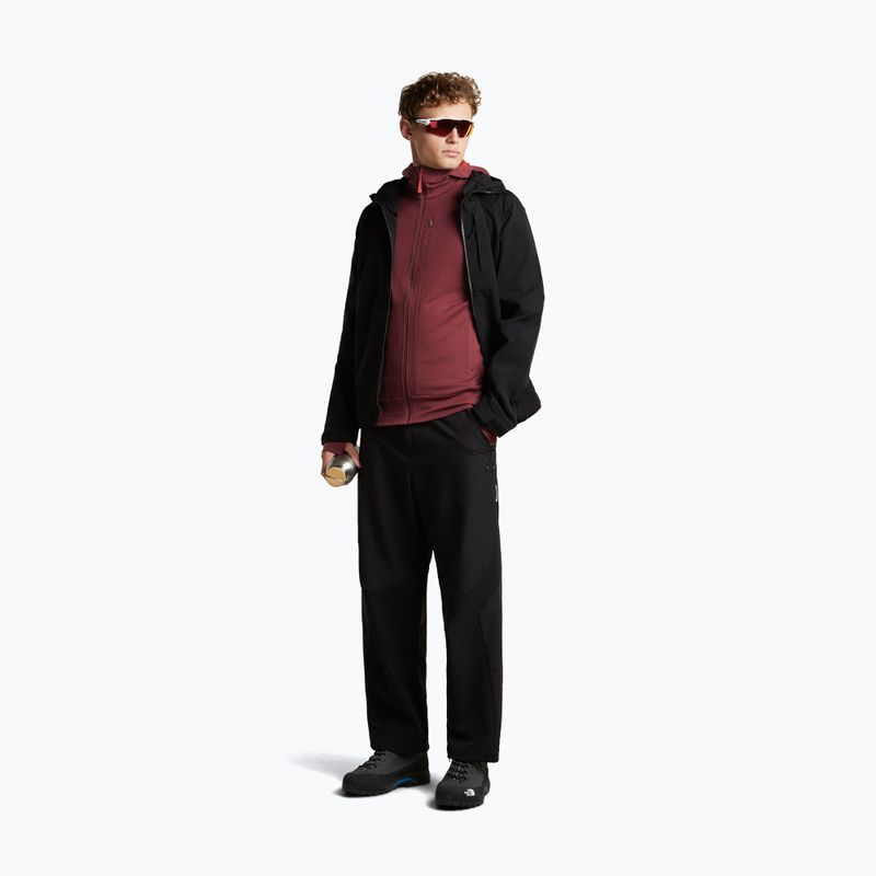 Pánská mikina Icebreaker Merino 260 Quantum IV LS Zip Hoodie port/agate 2