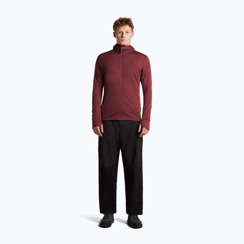 Pánská mikina Icebreaker Merino 260 Quantum IV LS Zip Hoodie port/agate 4