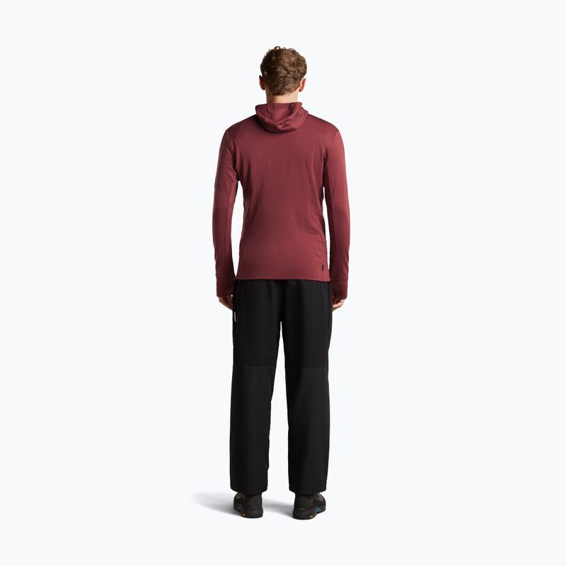 Pánská mikina Icebreaker Merino 260 Quantum IV LS Zip Hoodie port/agate 5