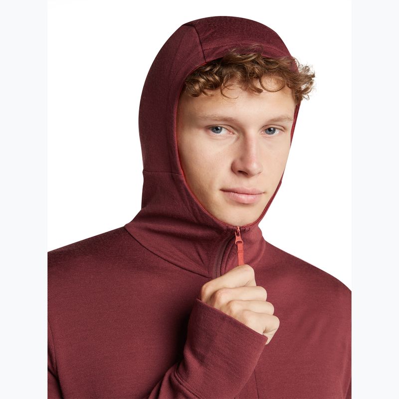 Pánská mikina Icebreaker Merino 260 Quantum IV LS Zip Hoodie port/agate 6