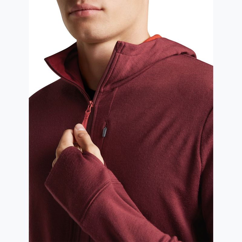 Pánská mikina Icebreaker Merino 260 Quantum IV LS Zip Hoodie port/agate 7