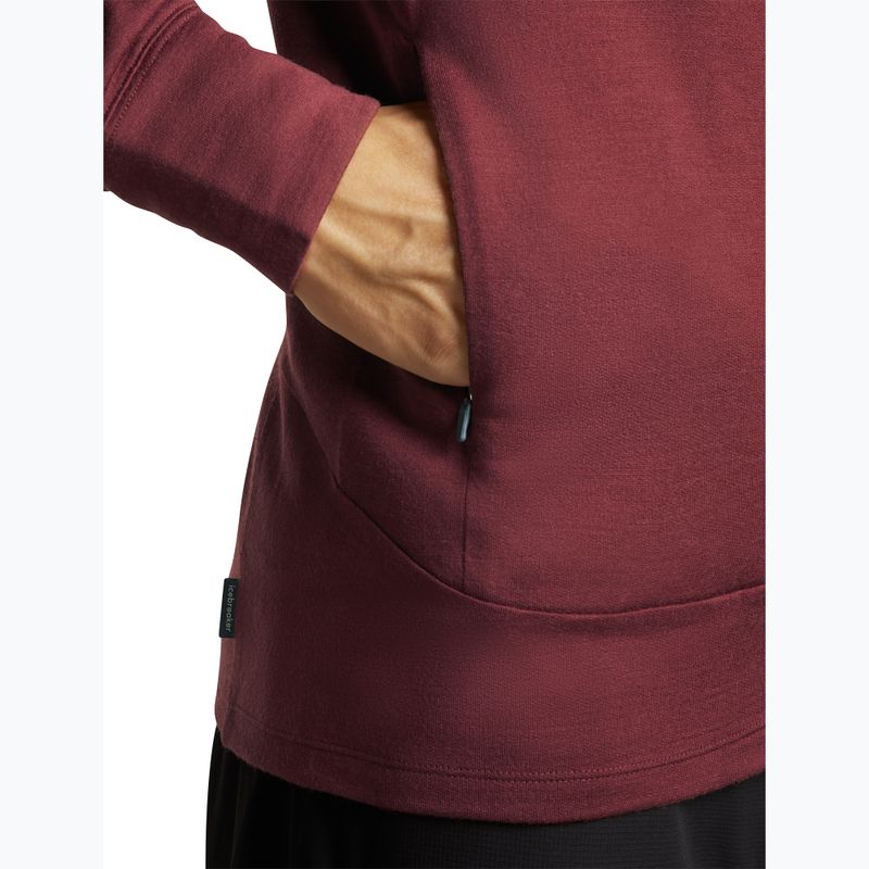 Pánská mikina Icebreaker Merino 260 Quantum IV LS Zip Hoodie port/agate 9